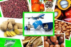 images-1