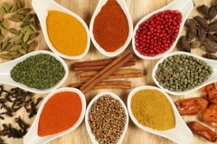 spice-1